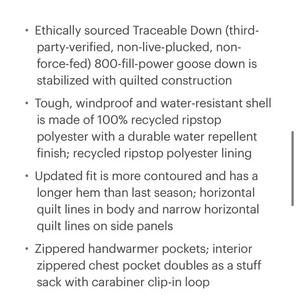 Patagonia Down Sweater Hoodie